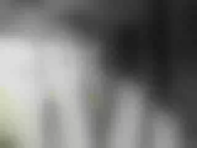 Live sex webcam photo for totodasha #292191784
