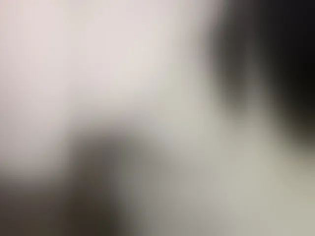Live sex webcam photo for totodasha #292436889