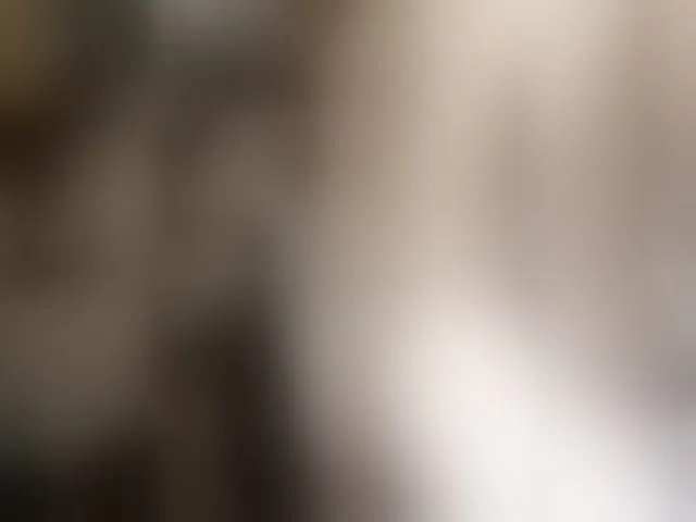 Live sex webcam photo for totodasha #294080590