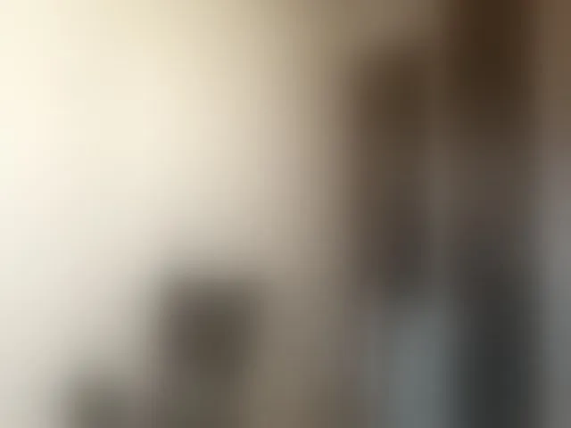 Live sex webcam photo for totodasha #294147727