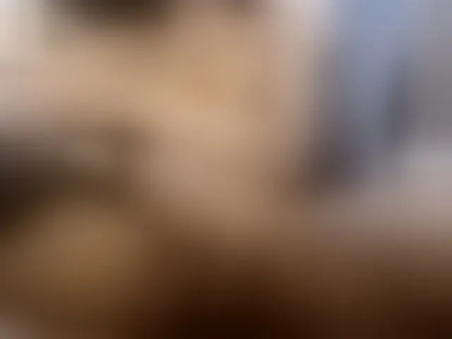 Live sex webcam photo for transeugenemaniac #291324740