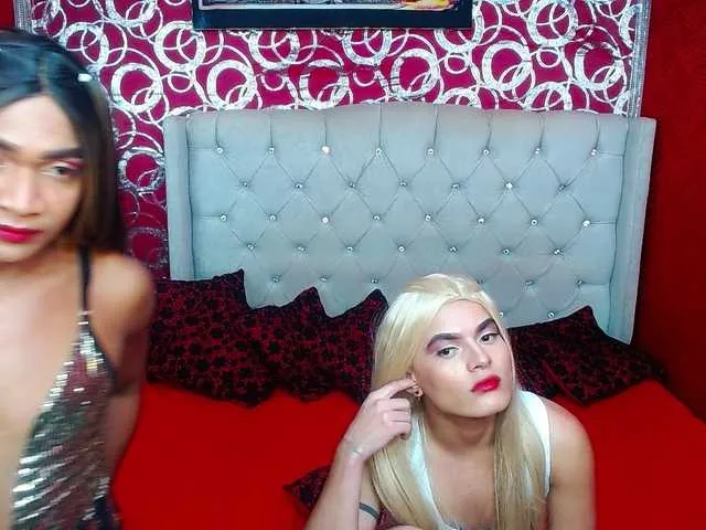 Live sex webcam photo for transgato #290711261