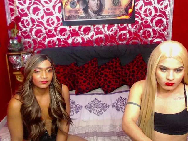 Live sex webcam photo for transgato #291016013