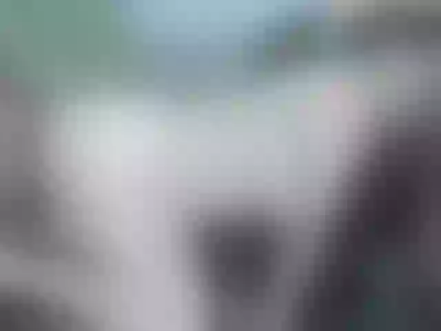 Live sex webcam photo for tricolmini2 #277404388