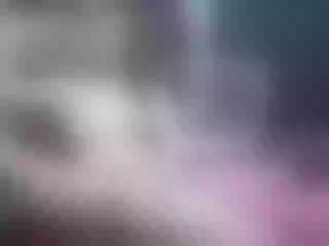 Live sex webcam photo for tsluscious #291002804