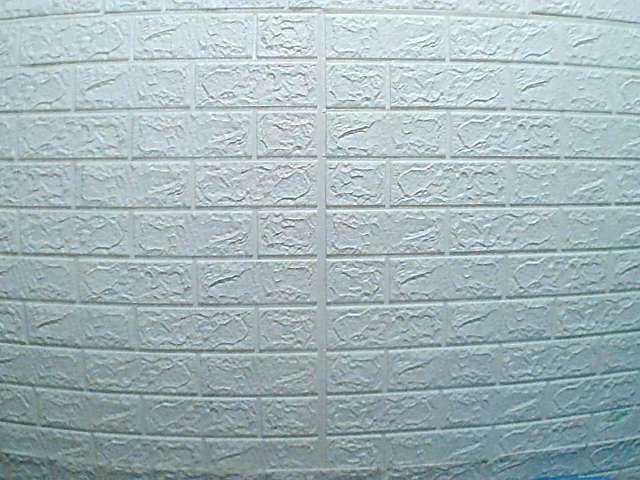 Live sex webcam photo for tsseductive #274585197