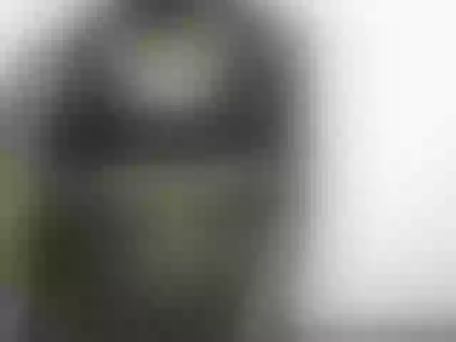 Live sex webcam photo for twickle #289406325