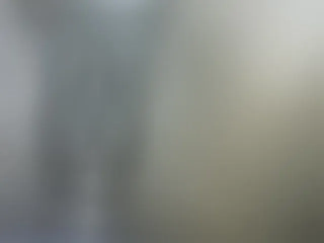 Live sex webcam photo for twickle #290003798