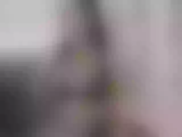 Live sex webcam photo for twinklevi #274622355