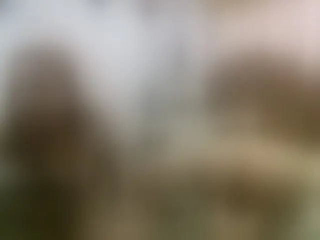 Live sex webcam photo for twofunnybitches #290345767