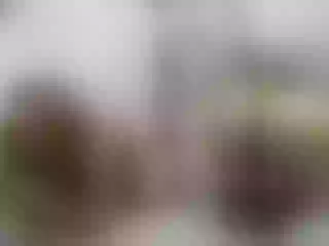 Live sex webcam photo for twofunnybitches #290366734