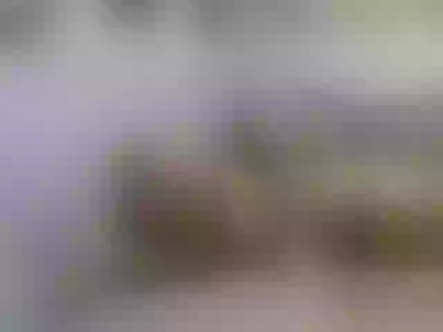 Live sex webcam photo for twofunnybitches #290438025