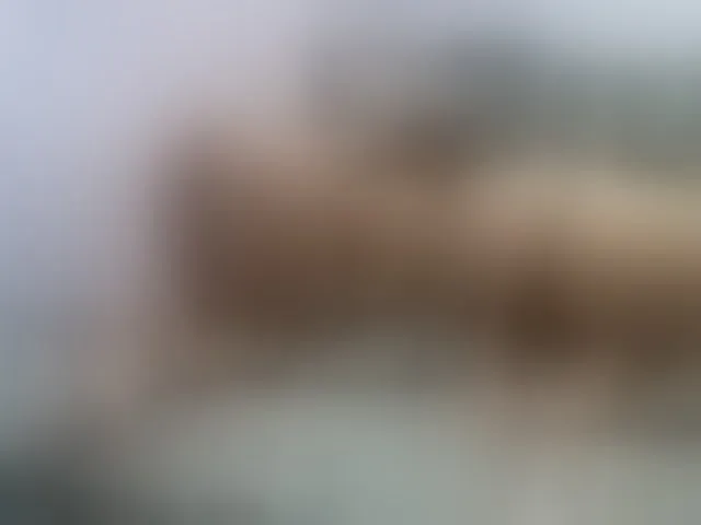 Live sex webcam photo for twofunnybitches #290480782