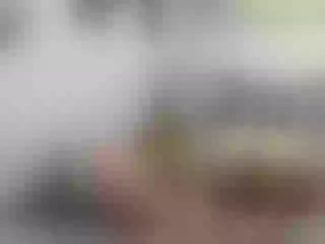 Live sex webcam photo for twofunnybitches #290512060