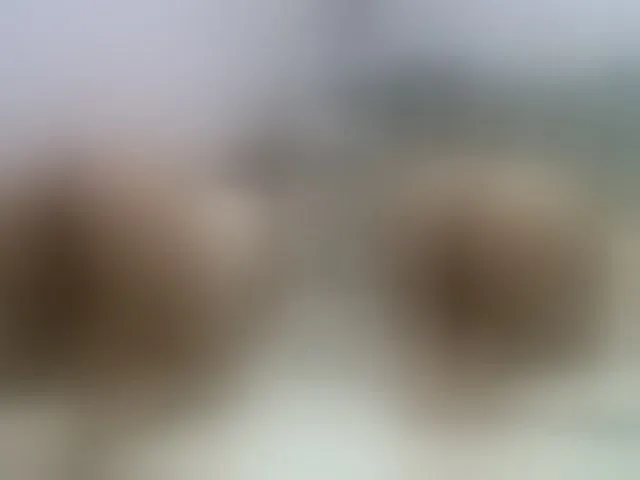 Live sex webcam photo for twofunnybitches #290588170