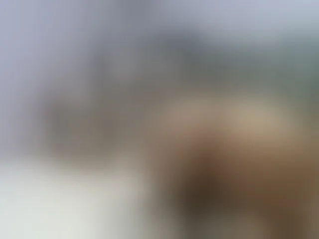 Live sex webcam photo for twofunnybitches #290627474