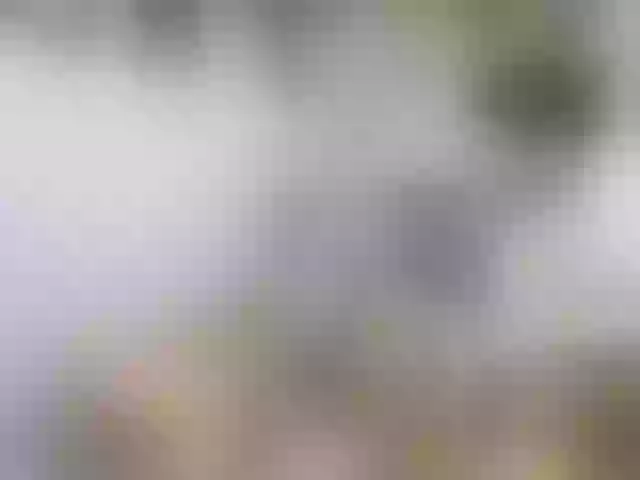 Live sex webcam photo for twofunnybitches #290675217