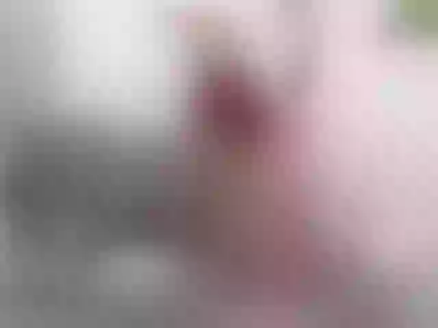 Live sex webcam photo for twofunnybitches #291791232