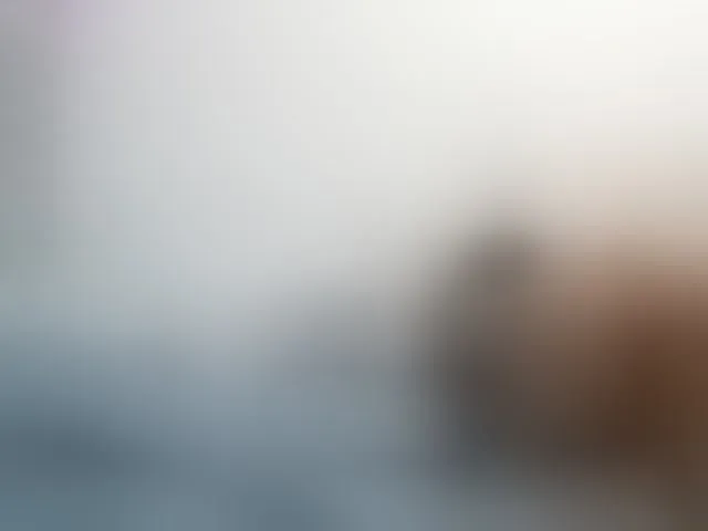 Live sex webcam photo for twofunnybitches #292605176