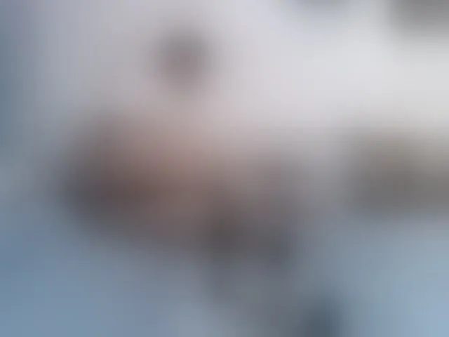 Live sex webcam photo for twofunnybitches #292769023
