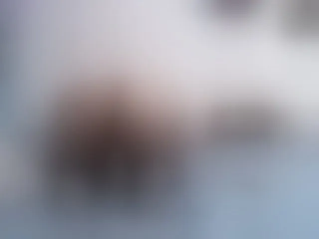 Live sex webcam photo for twofunnybitches #292772050