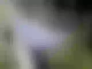 Live sex webcam photo for tytyta #179198487