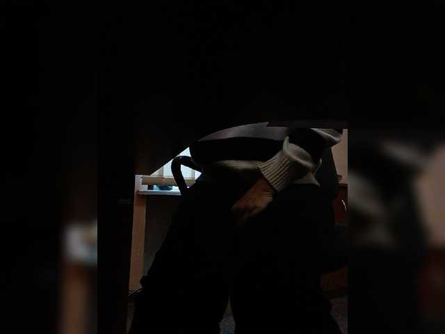 Live sex webcam photo for ula2015 #276579409