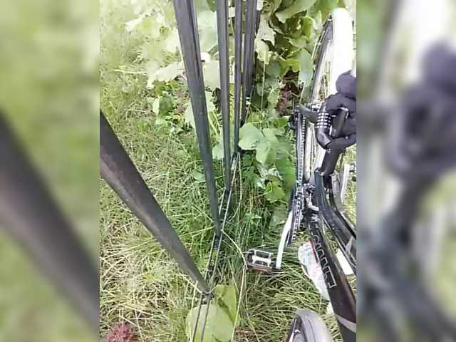 Live sex webcam photo for ula2015 #284349511