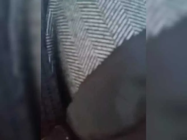 Live sex webcam photo for ula2015 #292219526