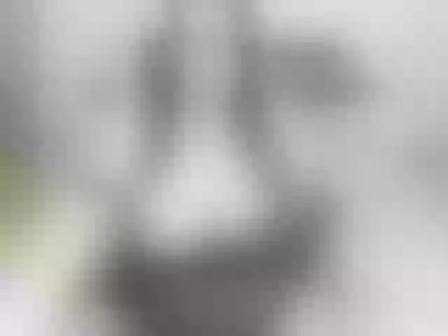 Live sex webcam photo for ulanara #290621434