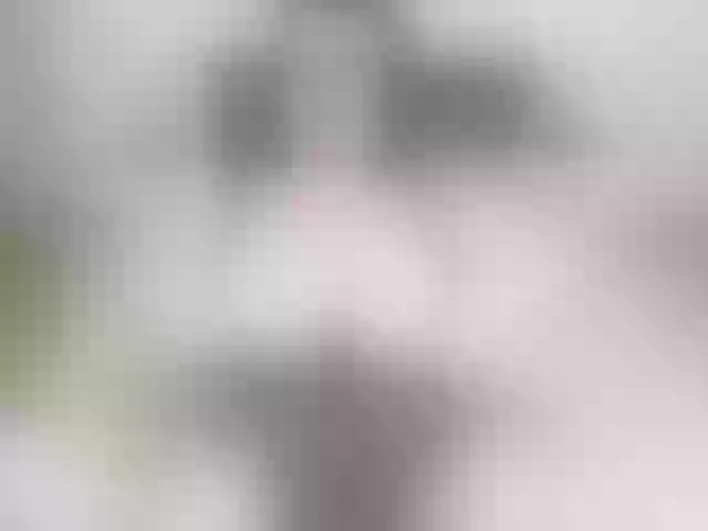 Live sex webcam photo for ulanara #290829772