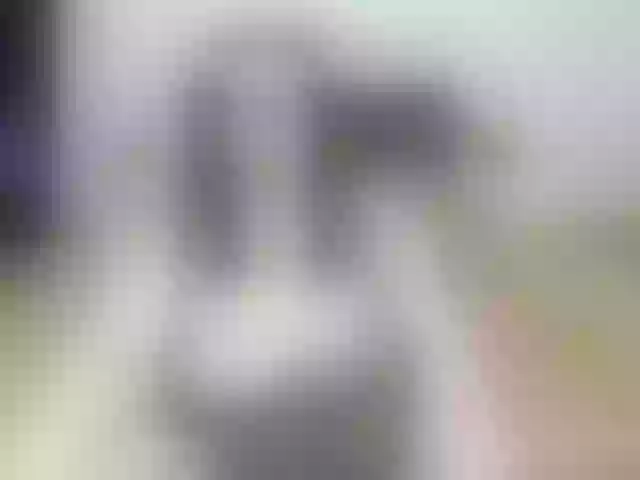 Live sex webcam photo for ulanara #292054756