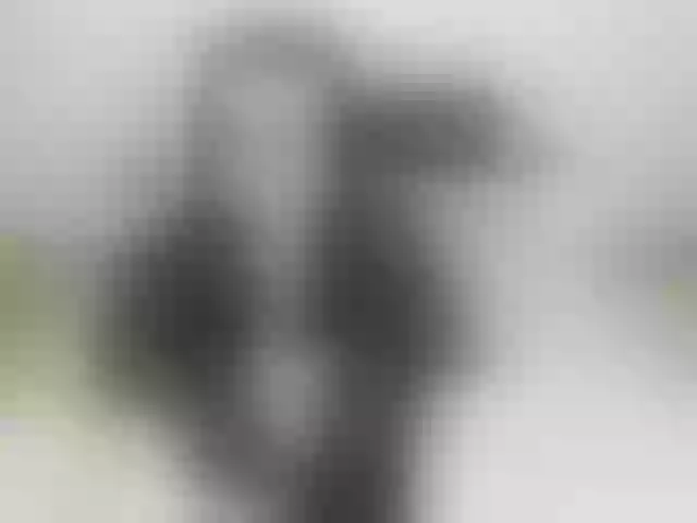 Live sex webcam photo for ulanara #292241892