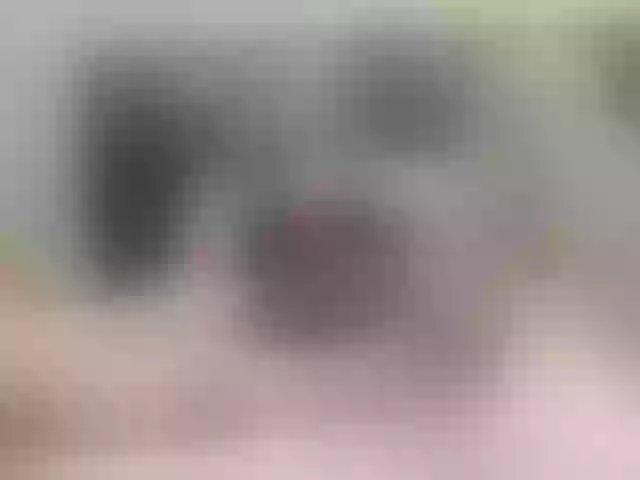 Live sex webcam photo for ultrachick #272143566