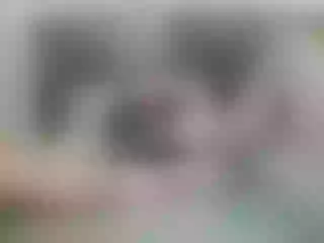 Live sex webcam photo for ultrachick #272371837