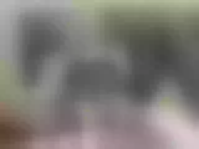 Live sex webcam photo for ultrachick #272549745