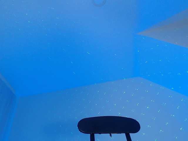 Live sex webcam photo for valenpretty #277578857