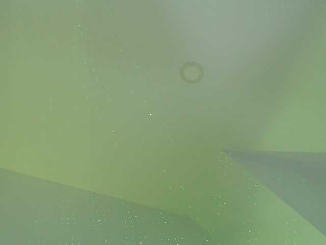 Live sex webcam photo for valenpretty #277767189