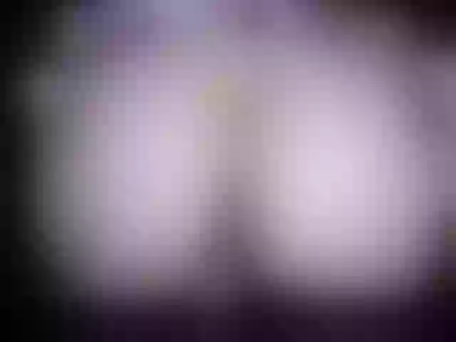 Live sex webcam photo for valeriavogue7 #273462367