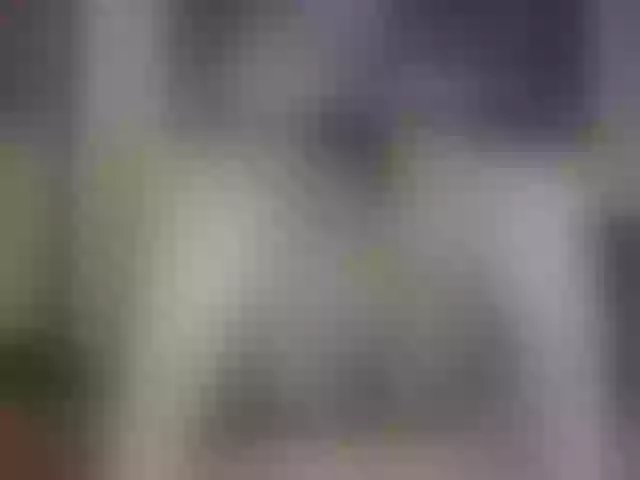 Live sex webcam photo for valeriwet #292116113