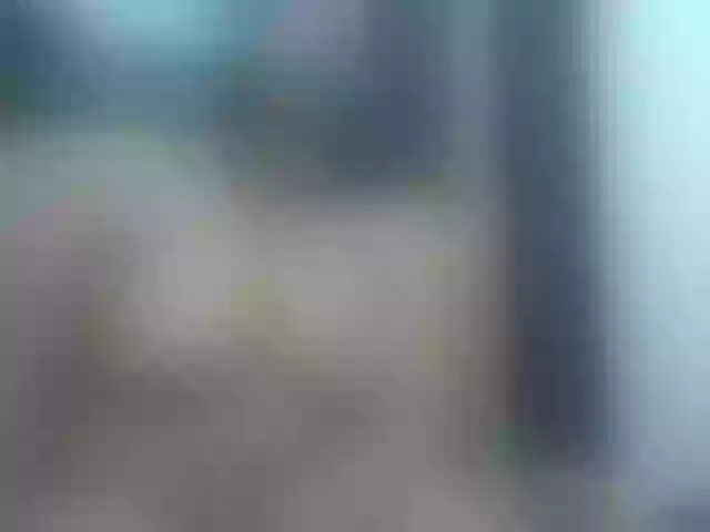 Live sex webcam photo for valeriwet #292268351
