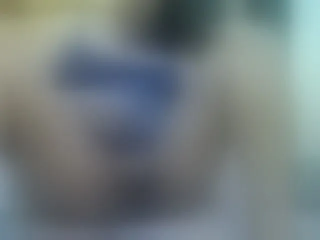 Live sex webcam photo for valeriwet #292408025