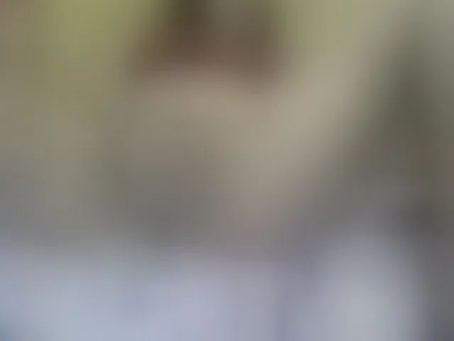 Live sex webcam photo for valeriwet #292527667