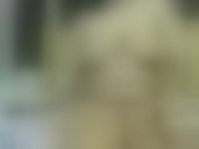 Live sex webcam photo for valeriwet #292540198
