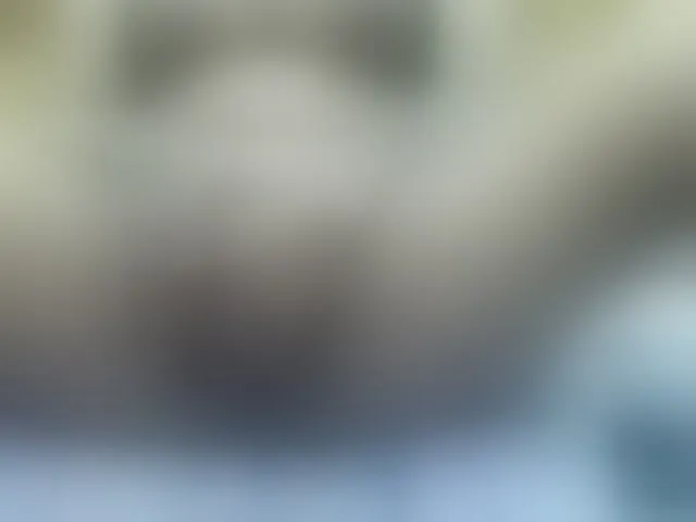 Live sex webcam photo for valeriwet #292795283