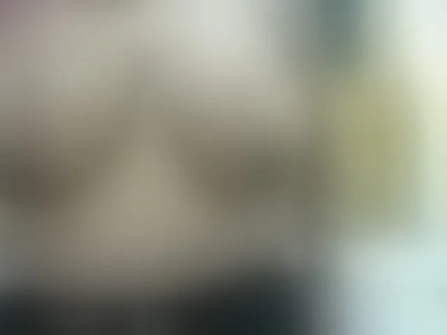 Live sex webcam photo for valeriwet #292993995