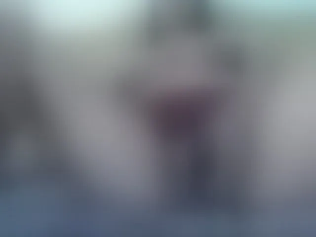 Live sex webcam photo for valeriwet #293639058