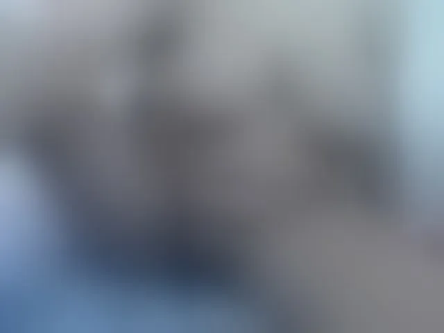 Live sex webcam photo for valeriwet #293827820