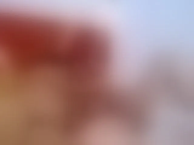 Live sex webcam photo for valery-leo #274217557