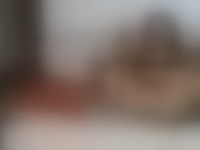 Live sex webcam photo for vanessa-aniston #292711004